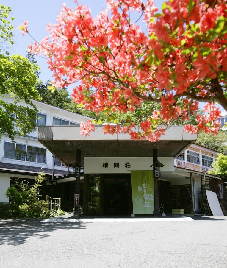 Ichikawa Bekkan Seikanso Shibukawa المظهر الخارجي الصورة
